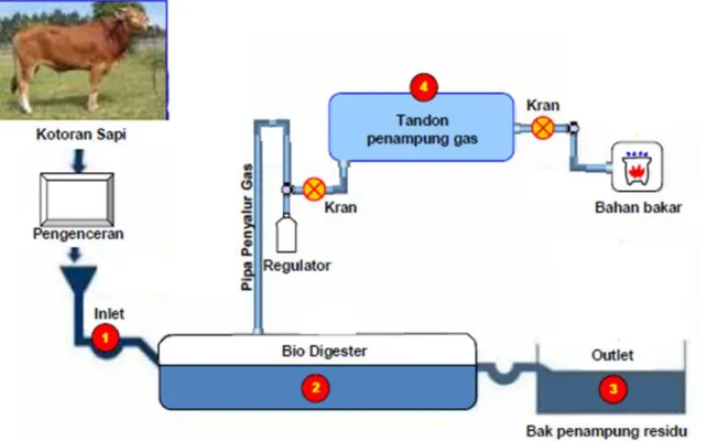 Gambar 2. Skema Pembuatan Biogas dari Kotoran Sapi 