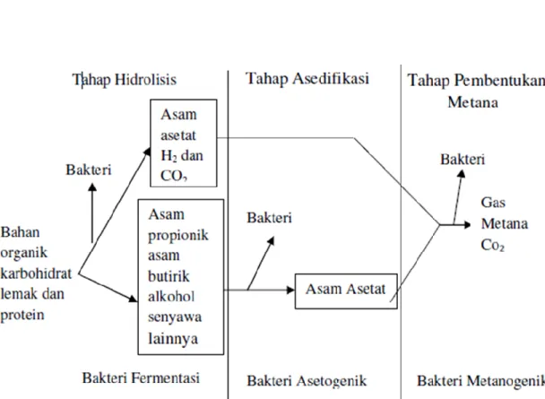 Gambar 1. Proses Pembentukan Biogas 