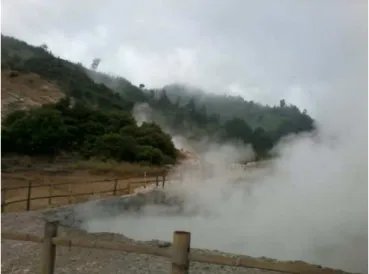Gambar 1.6 Kawah Sikidang 