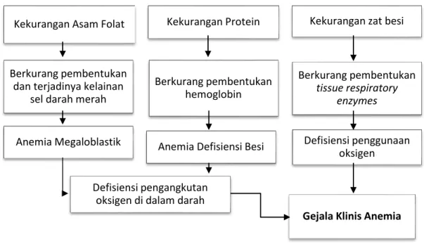 Gambar 1 : Grafik menunjukkan kekurangan asam folat, protein dan zat besi dapat menyebabkan  kekurangan oksigen jaringan dan mengakibatkan terjadinya anemia