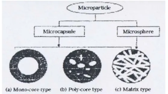 Gambar 5  Klasifikasi mikrokapsul menurut   morfologi (Yoshizawa 2004).  