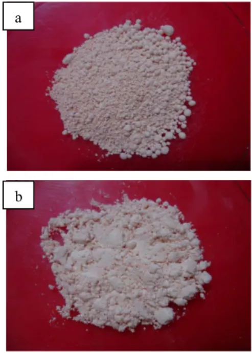 Gambar 9  Foto SEM permukaan mikrokapsul  dengan penambahan ketoprofen  pada perbesaran 2000×