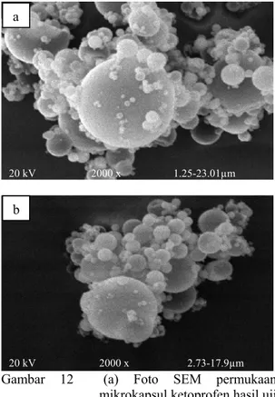 Gambar 12  (a) Foto SEM permukaan  mikrokapsul ketoprofen hasil uji  stabilitas formula 7 dan (b)  formula 3