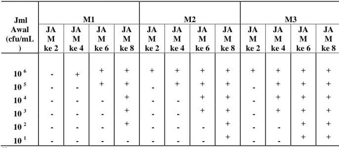 Tabel  2  :  Hasil  Pengujian  V.cholerae  pada  medium  pengayaan  Bismuth  Sulfite  (M1)  Gelatin  Phosphate  Salth  Broth  (M2),  Air  Peptone  Alkali  (M3)  dengan  Rapid   Immuno-kromatografi Strip Test  