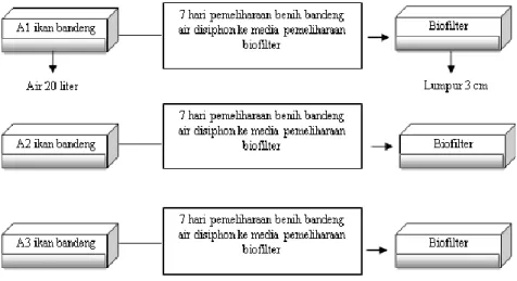 Gambar 1. Rancangan penelitian 