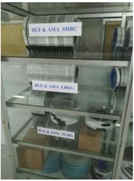 Gambar 3. 7 BUF &amp; AMA 