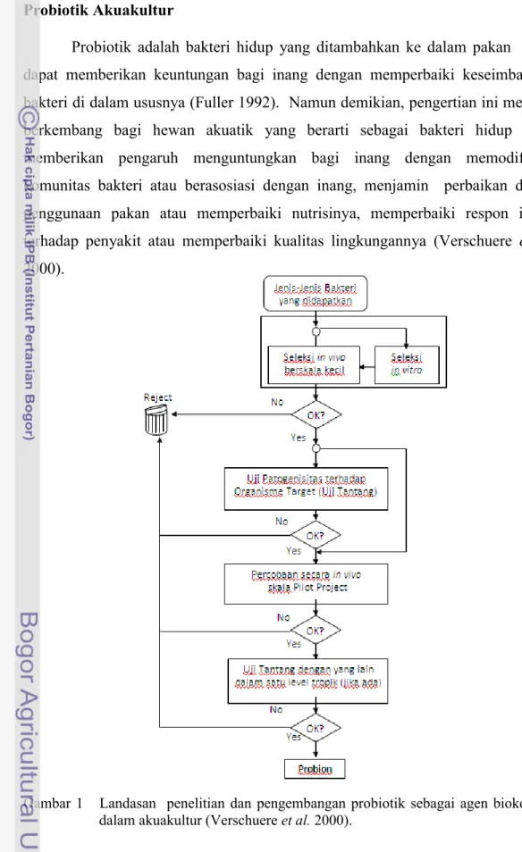 Gambar 1  Landasan  penelitian dan pengembangan probiotik sebagai agen biokontrol  dalam akuakultur (Verschuere et al