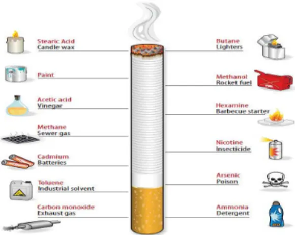Gambar 4. Nicotine gum