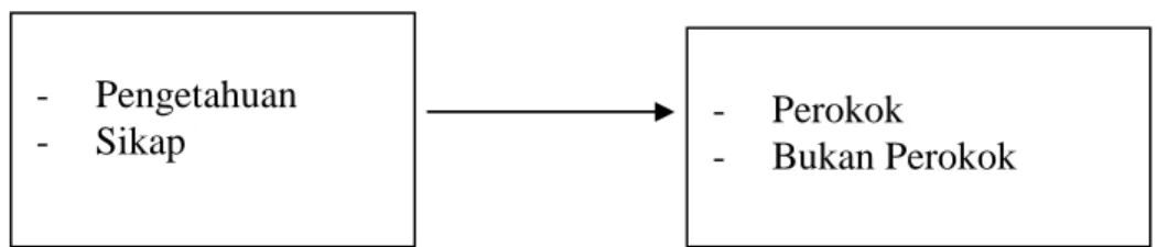 Gambar 2.2. Kerangka konsep