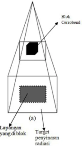 Gambar 3. Profil Dosis sinar –X 6 MV  Menggunakan Blok Cerrobend Bentuk  Divergen pada Posisi Scanning Crossline  pada Berbagai Macam Variasi Luas Blok 