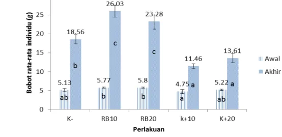 Gambar 1.  Peningkatan rata-rata bobot individu ikan lele yang diberi pakan perlakuan  ragi bir dan tanpa ragi bir