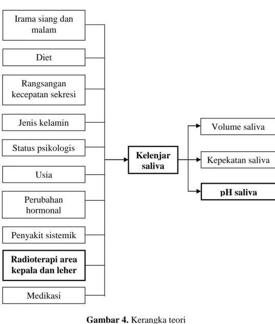 Gambar 4. Kerangka teoriRadioterapi area 