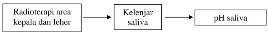 Gambar 5. Kerangka konsep 