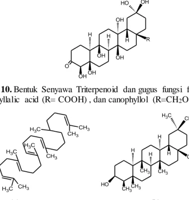 Gambar  III. 10. Bentuk  Senyawa  Triterpenoid  dan gugus  fungsi  friedelin  (R= 