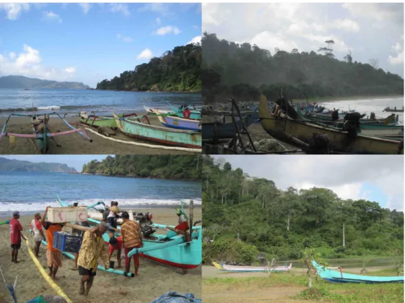 Gambar 2.5. Pantai Rajegwesi 