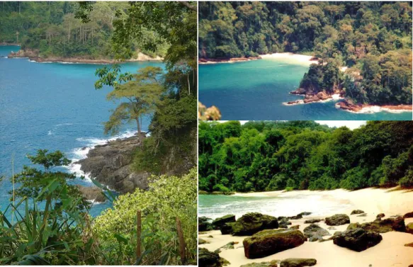 Gambar 2.7. Teluk Hijau 