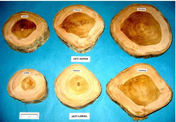 Gambar 1. Lempengan kayu jati super (atas) dan konvensional (bawah)       Figure 1. Super teak disks (above) and conventional teak disks (under) 
