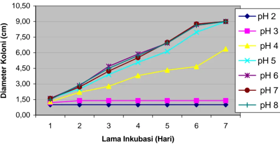 Gambar 7. Pertumbuhan Isolat F. oxysporum setelah Diinkubasi     Selama 7 Hari pada Media PDA pH 7 (E), PSA pH 7 (F)  PDA pH  8 (G) dan PSA pH 8 (H) 