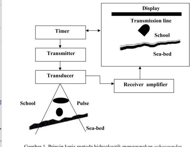 Gambar 1. Prinsip kerja metode hidroakustik menggunakan echosounder  Sumber: Maclennan and Simmond (2005) 