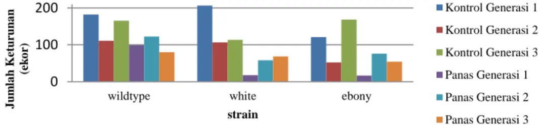 Gambar 1. Grafik Jumlah Keturunan D. melanogaster Strain wildtype, white, dan ebony   pada Lingkungan Bersuhu Normal dan Panas pada Tiga Generasi 