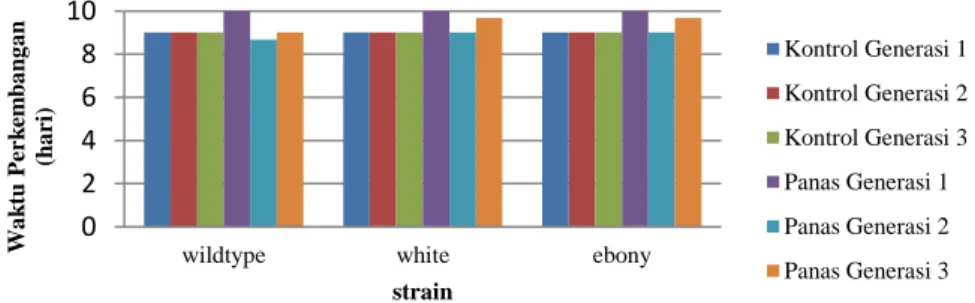 Gambar 2. Grafik Waktu Perkembangan D. melanogaster Strain wildtype, white, dan ebony   pada Lingkungan Bersuhu Normal dan Panas pada Tiga Generasi 
