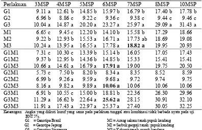 Tabel 1. Pertambahan Tinggi Tanaman Cabai Hias pada Beberapa Genotipe dan Media.  