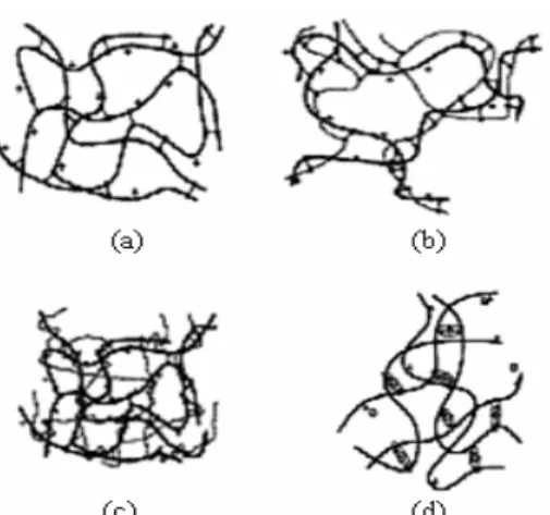 Gambar 2  Struktur hidrogel kitosan: (a) ikatan silang kitosan-kitosan, (b) jaringan polimer  hibrida, (c) jaringan semi-IPN, dan (d) kitosan berikatan silang ionik (Berger et al