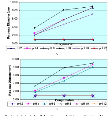 Gambar 5. Pertumbuhan Koloni Miselia pada Beberapa Kombinasi Macam dan pH Media. (A) Pertumbuhan pada media PDA, (B) Pertumbuhan pada media PSA
