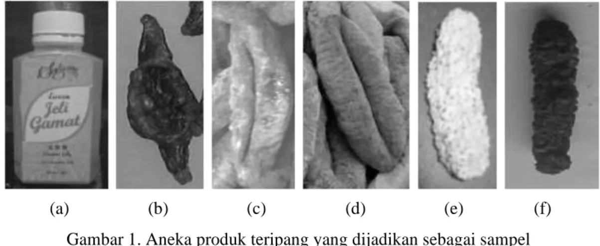 Gambar 1. Aneka produk teripang yang dijadikan sebagai sampel  Keterangan : (a) jelly gamat 