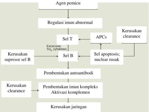 Gambar 1. Patogenesis Lupus Eritematosus Sistemik (SLE) Sel B 