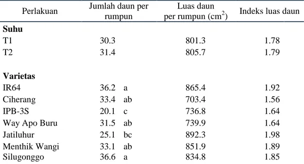Tabel 2 Pengaruh suhu  dan varietas padi terhadap jumlah daun per rumpun, luas  daun per rumpun dan indeks luas daun pada 6 MST 