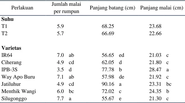 Tabel 8  Pengaruh  suhu  dan  varietas  padi  terhadap  jumlah  malai  per  rumpun,  panjang batang dan panjang malai 