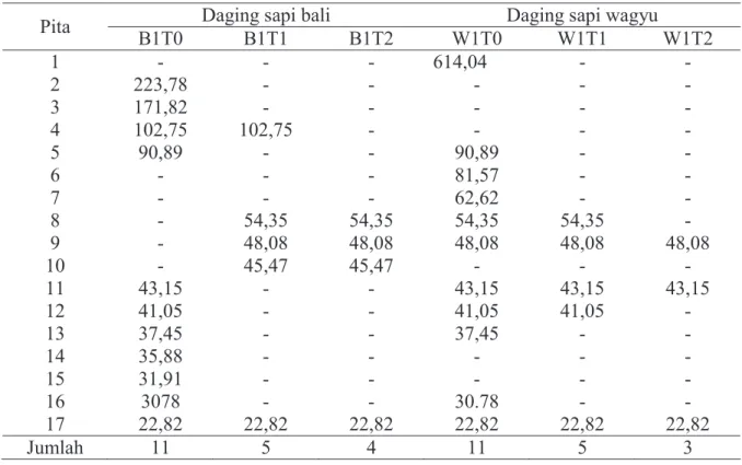 Tabel 1.  Hasil perhitungan Berat molekul  SDS-PAGE  elektroforesis daging sapi bali dan  wagyu segar dan direbus 