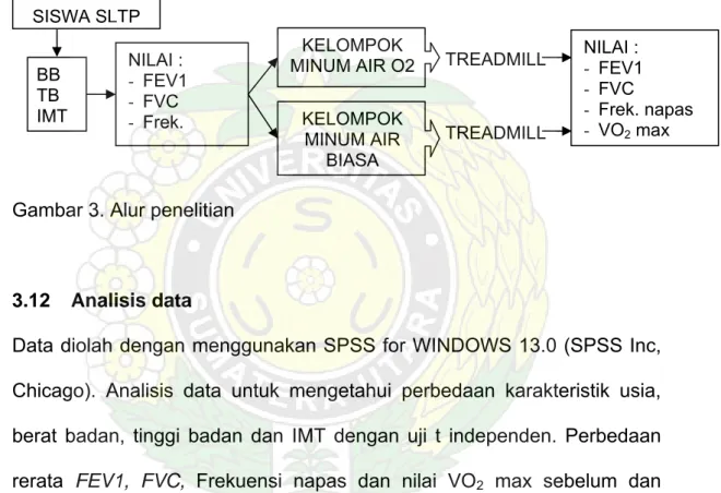 Gambar 3. Alur penelitian 