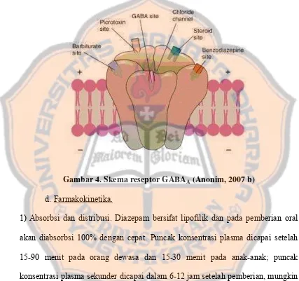 Gambar 4. Skema reseptor GABAA (Anonim, 2007 b) 
