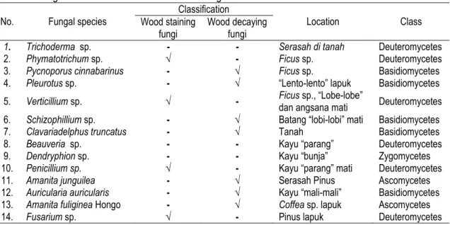 Table 1.  Fungal classification based on wood damage characteristics 