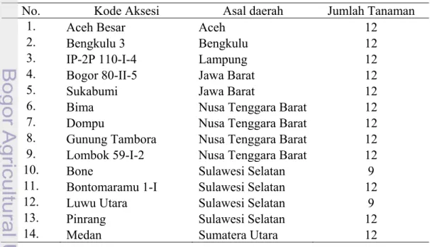 Tabel 1. Kode, Asal Daerah Aksesi dan Jumlah Tanaman Jarak Pagar yang   Digunakan dalam Penelitian 