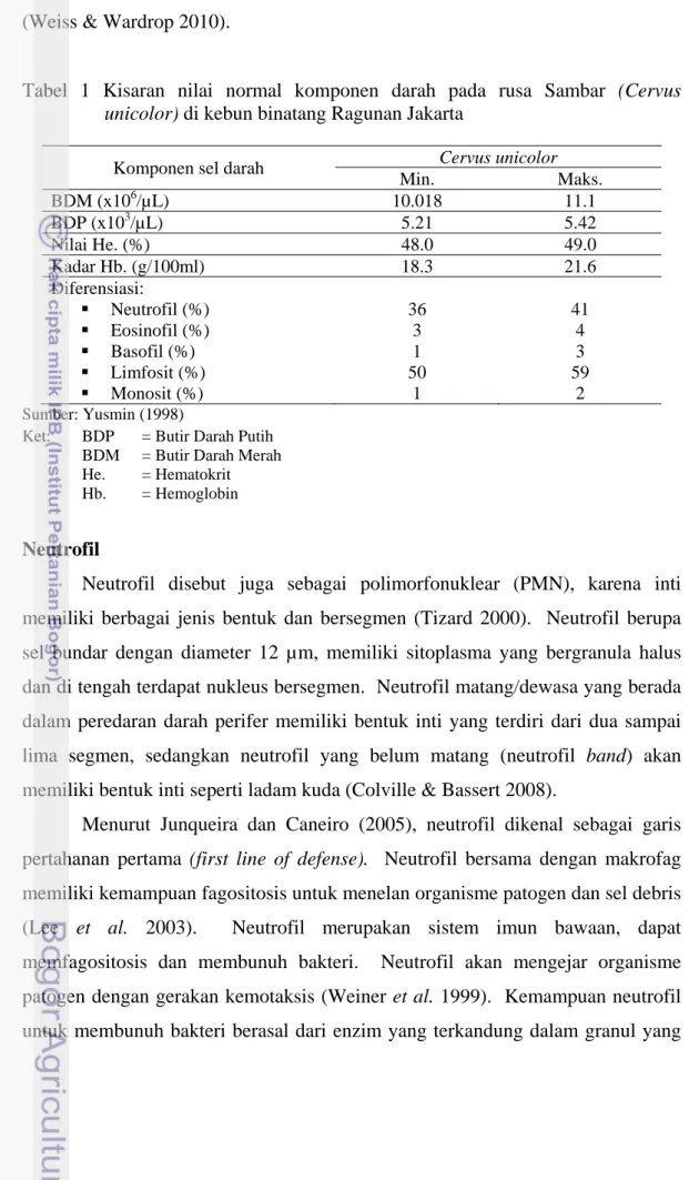 Tabel 1 Kisaran nilai normal komponen darah pada rusa Sambar (Cervus  unicolor) di kebun binatang Ragunan Jakarta 