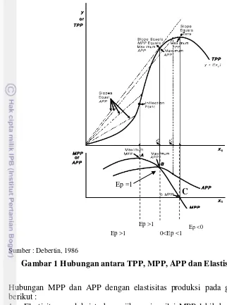 Gambar 1 Hubungan antara TPP, MPP, APP dan Elastisitas Produksi 