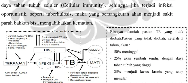 Gambar 2.1. Faktor Risiko Kejadian TB 