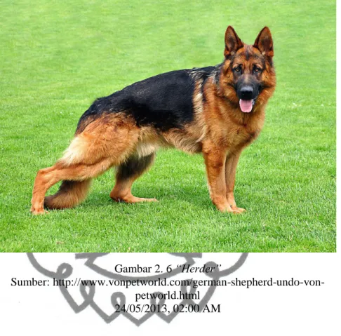 Gambar 2. 6 “Herder” 