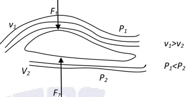 Gambar 2.4.  Gaya angkat pada sayap yang terjadi karena aliran udara disekitarnya  Sesuai dengan asas bernoulli yang menyatakan bahwa  semakin besar kecepatan aliran  suatu fluida maka semakin kecil tekanannya, begitu pula sebaliknya semakin kecil aliran  