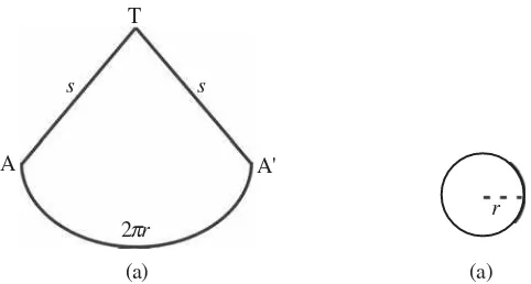 Gambar 2.7 (a)  juring lingkaran (selimut kerucut)         (b) bidang alas kerucut