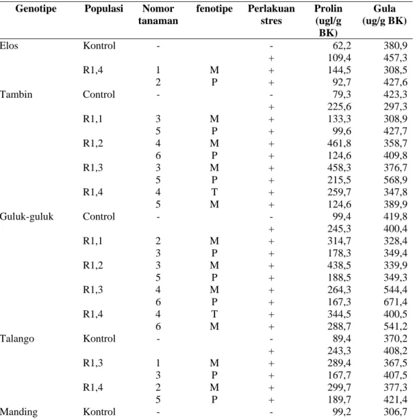 Tabel 3. Kandungan prolin dan gula total pada daun tanaman R1 hasil seleksi in vitro dan tanaman kontrol  tanpa melalui kultur in vitro yang ditanam dalam kondisi tanpa stress dan dengan stress akibat  pengurangan pemberian air saat fase pertumbuhan genera