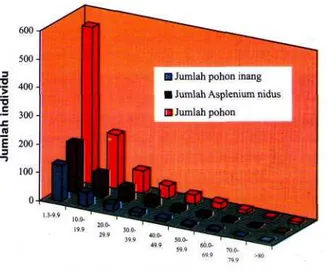 Gambar 1. Jumlah individu pohon, pohon inang, dan A. nidus pada masing-masing kelas diameter batang.