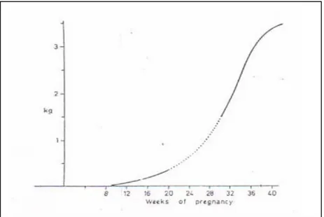 Gambar 2.2  Pertambahan berat janin selama kehamilan (Rosso, 1990)