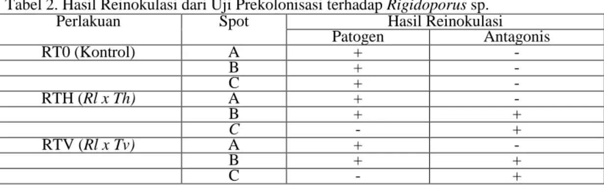Tabel  2  menunjukkan  bahwa  Trichoderma  memiliki  kemampuan  dalam  menghambat  pertumbuhan  Rigidoporus  sp.,walaupun  pada  daerah  kontak  Rigidoporus sp