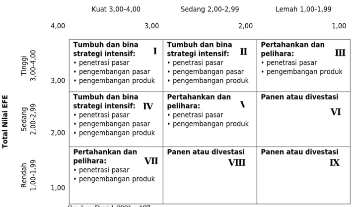Gambar 2.5 Matriks IE 