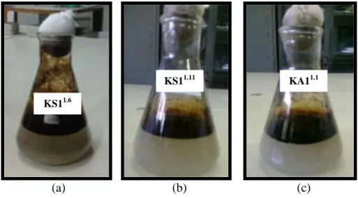 Gambar 9. Hasil Biodegradasi Inkubasi 48 jam  (a) KS1 1.6 (b) KS1.11 (c) KA1 1.1 