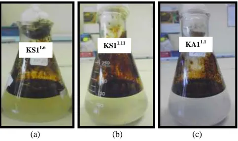 Gambar 8. Hasil Biodegradasi Inkubasi 24 jam  (a) KS1 1.6 (b) KS1.11 (c) KA1 1.1 